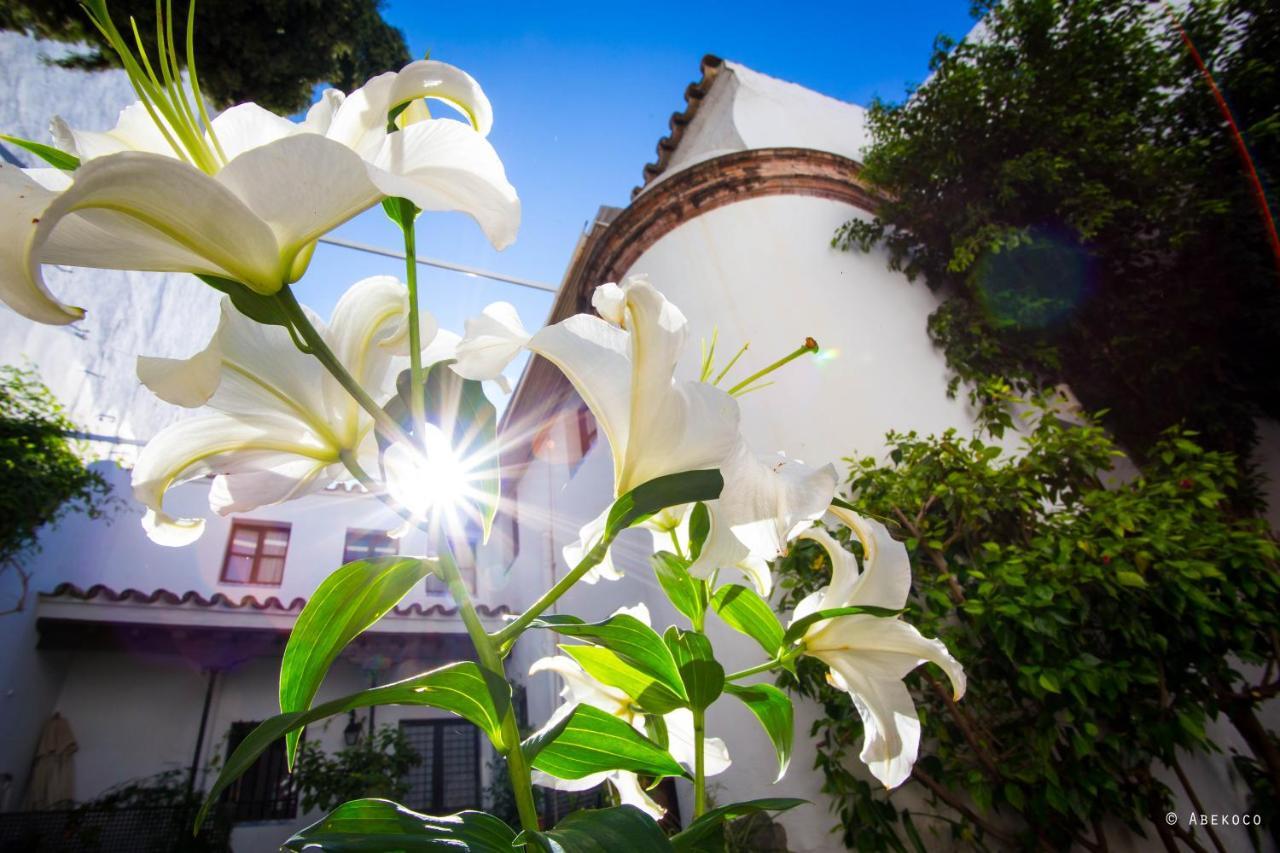 Casa Del Siglo Xvii Hébergement de vacances *